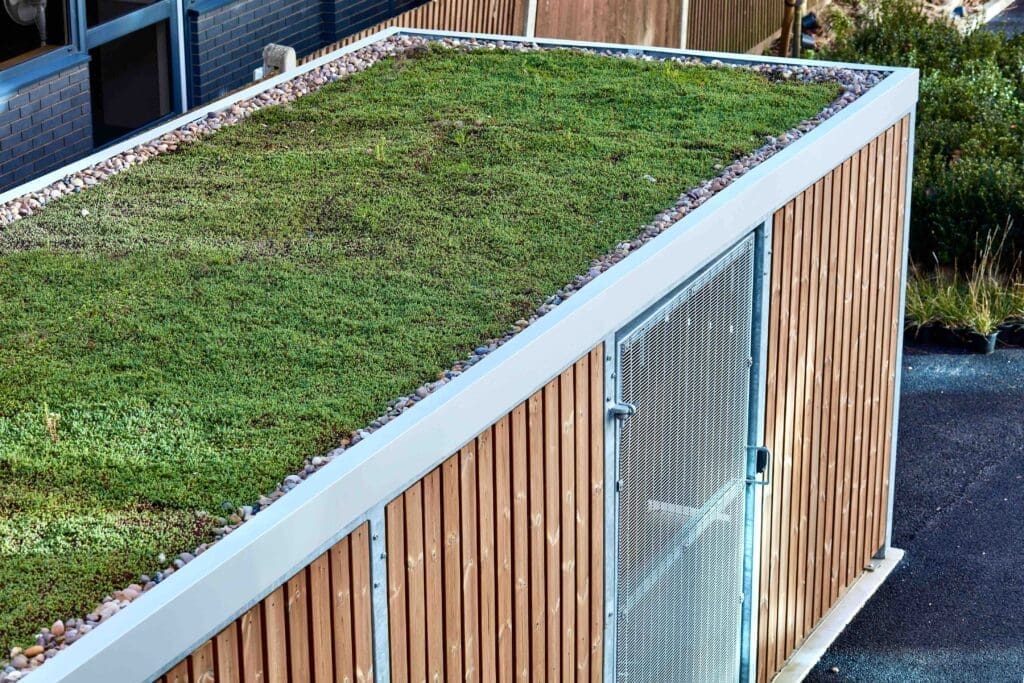 on top of a bike shelter, green sedum roof with pebbles for drainage