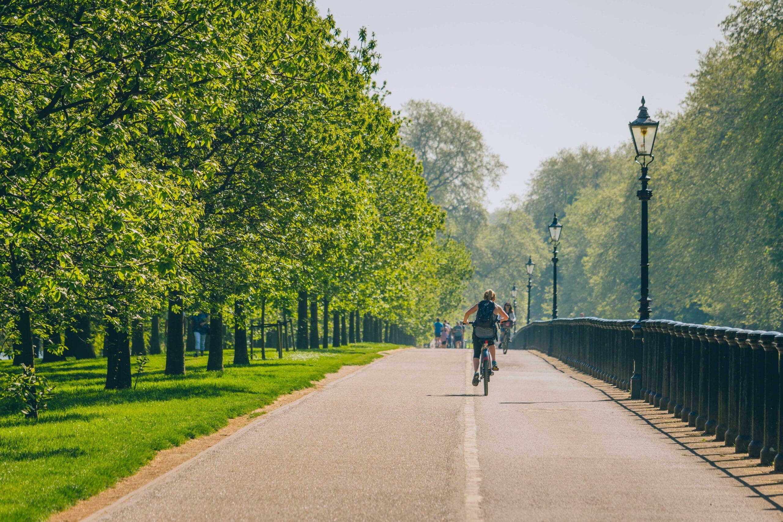 Healthy Streets blog post header image with person riding down a street lined with trees on the left side and the river on the right side and people walking in the distance on a sunny day