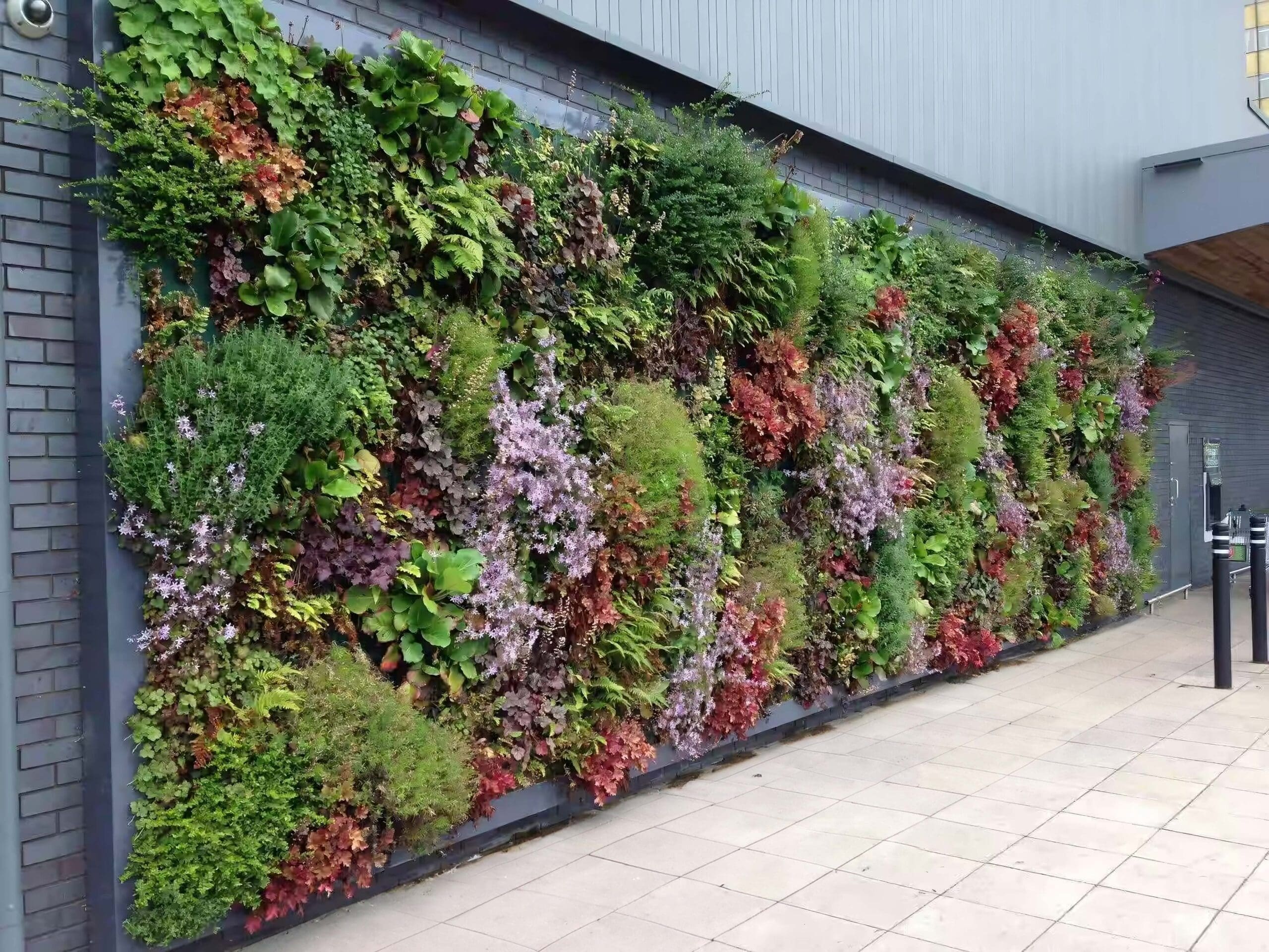Living green walls installed on a commercial building