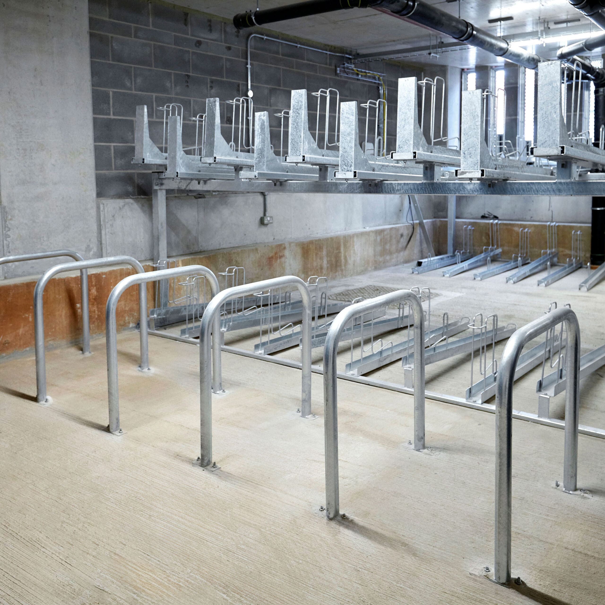 Beard Image 07