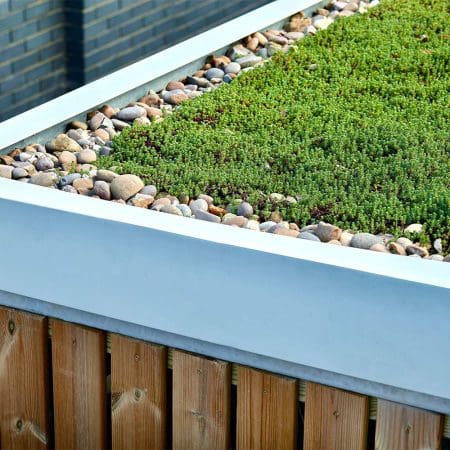 sedum roofing on top of wooden cycle shelter